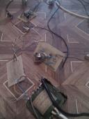 Прикрепленное изображение: tomato_sybiryak_speakersim.jpg