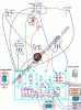 Прикрепленное изображение: distplusmodlayout.gif