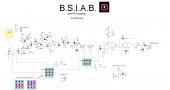 Прикрепленное изображение: bsiab_rev2.JPG
