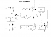 Прикрепленное изображение: Microchorus3007.png